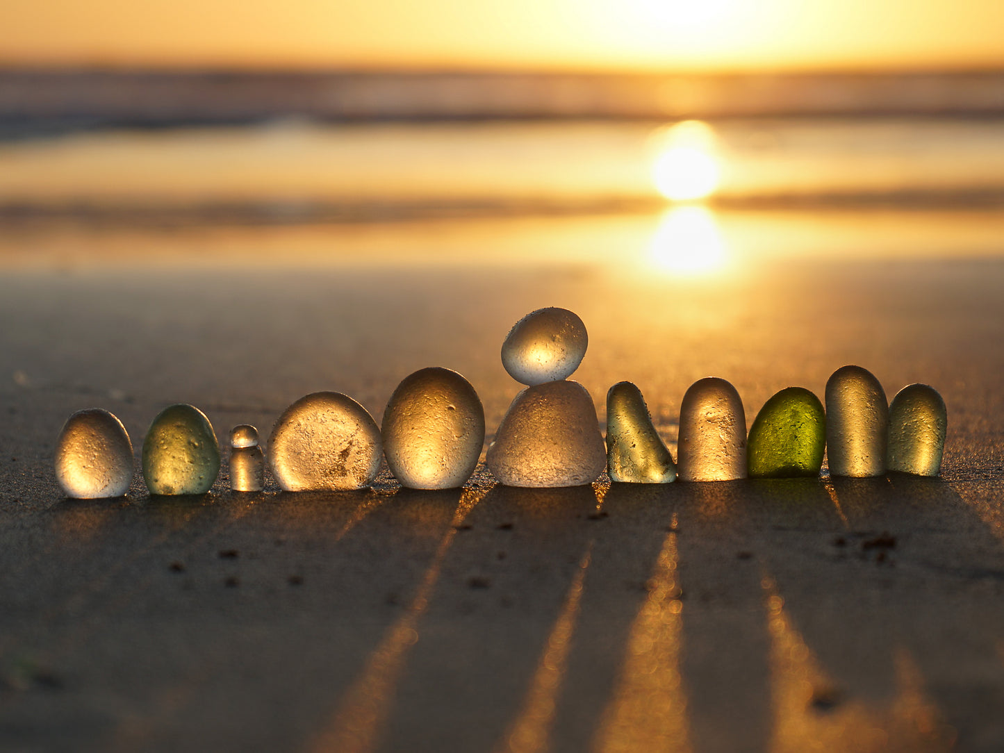 "Basking in the Sun"