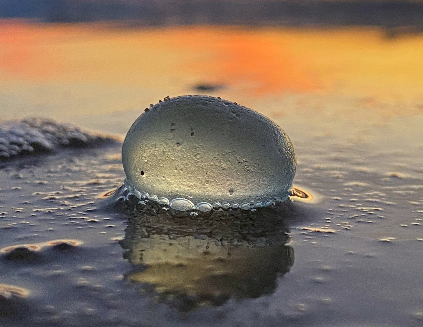 "Bubbles"