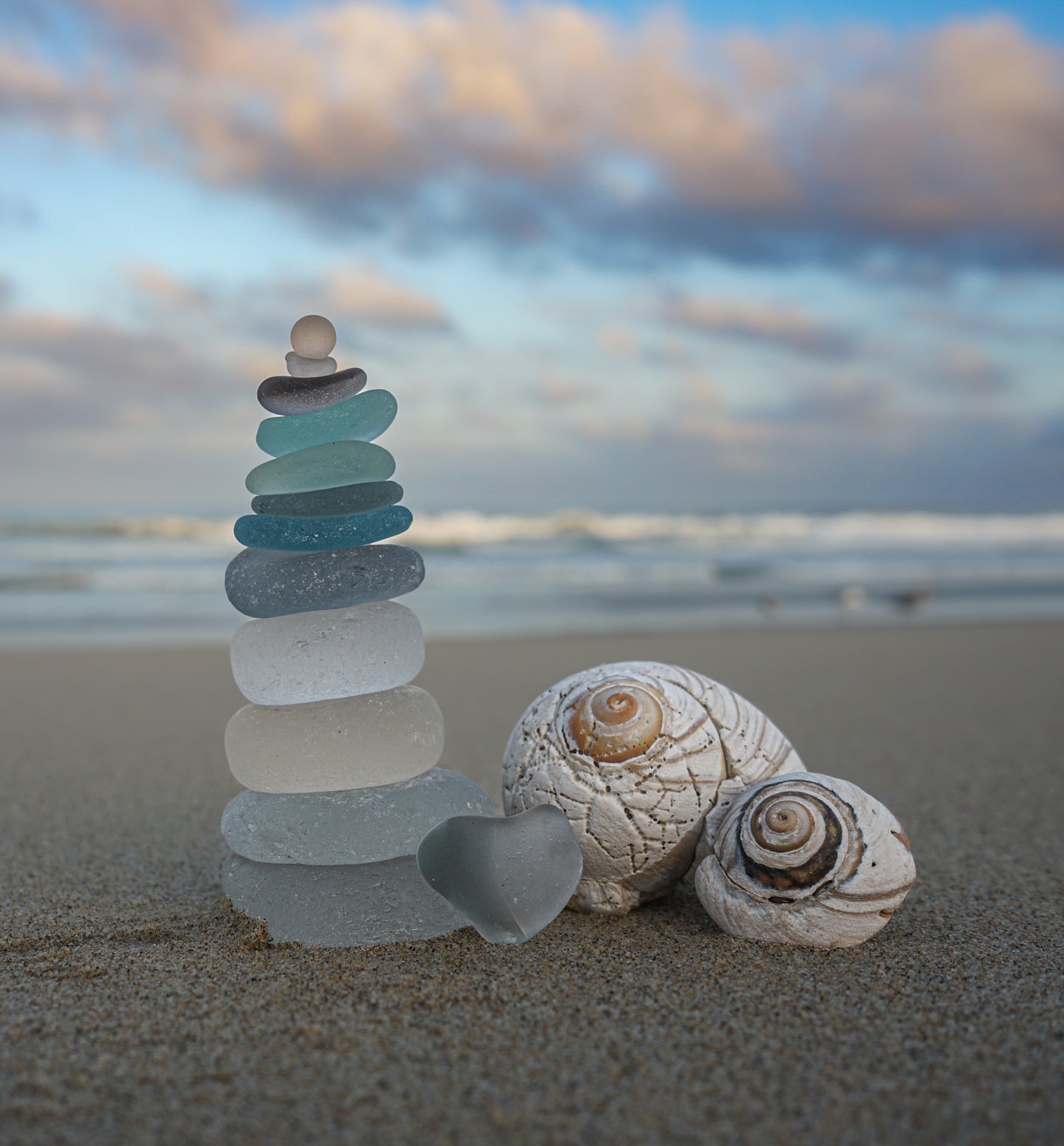 "Sunrise Shells & Tall Pastels"