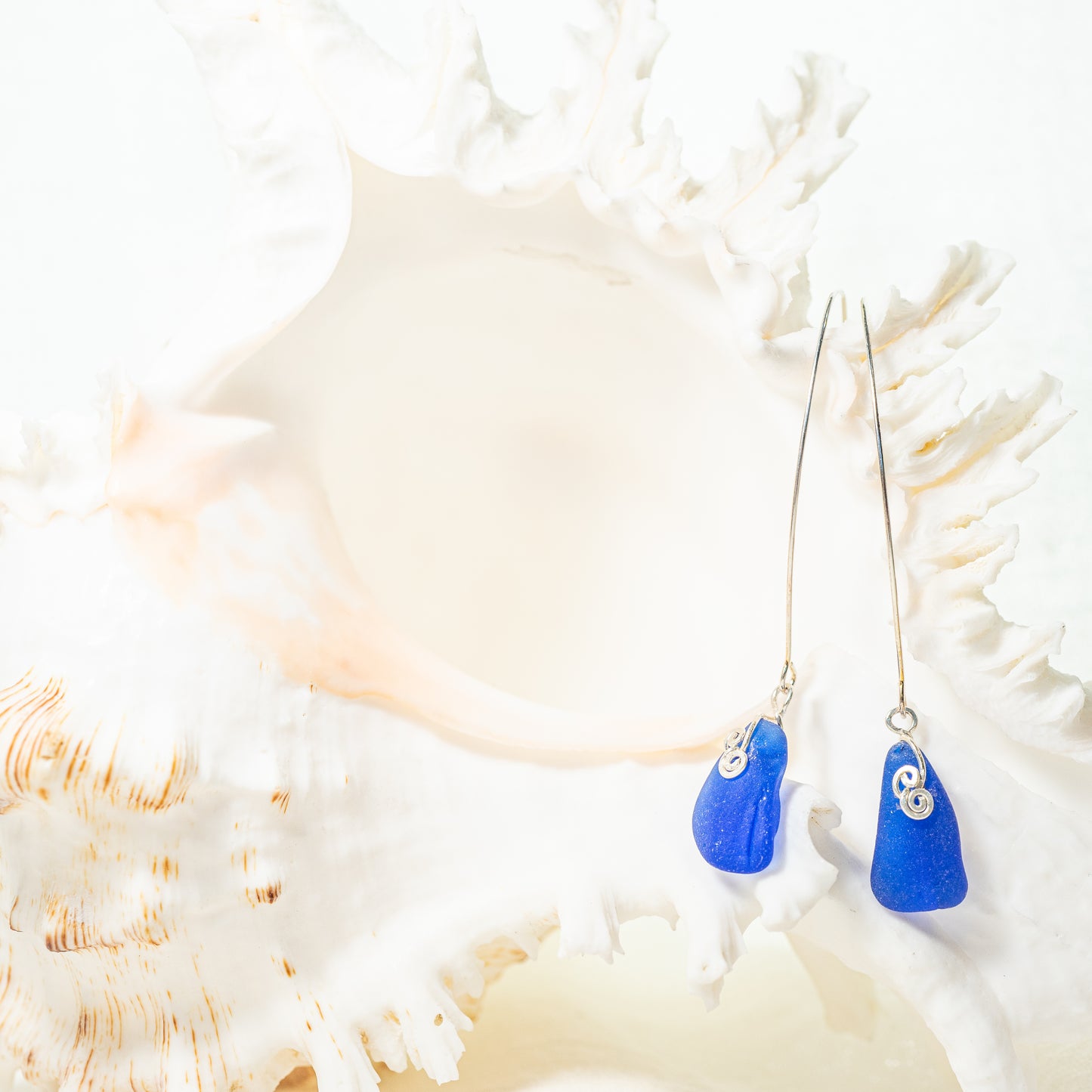Cobalt Blue Beauties
