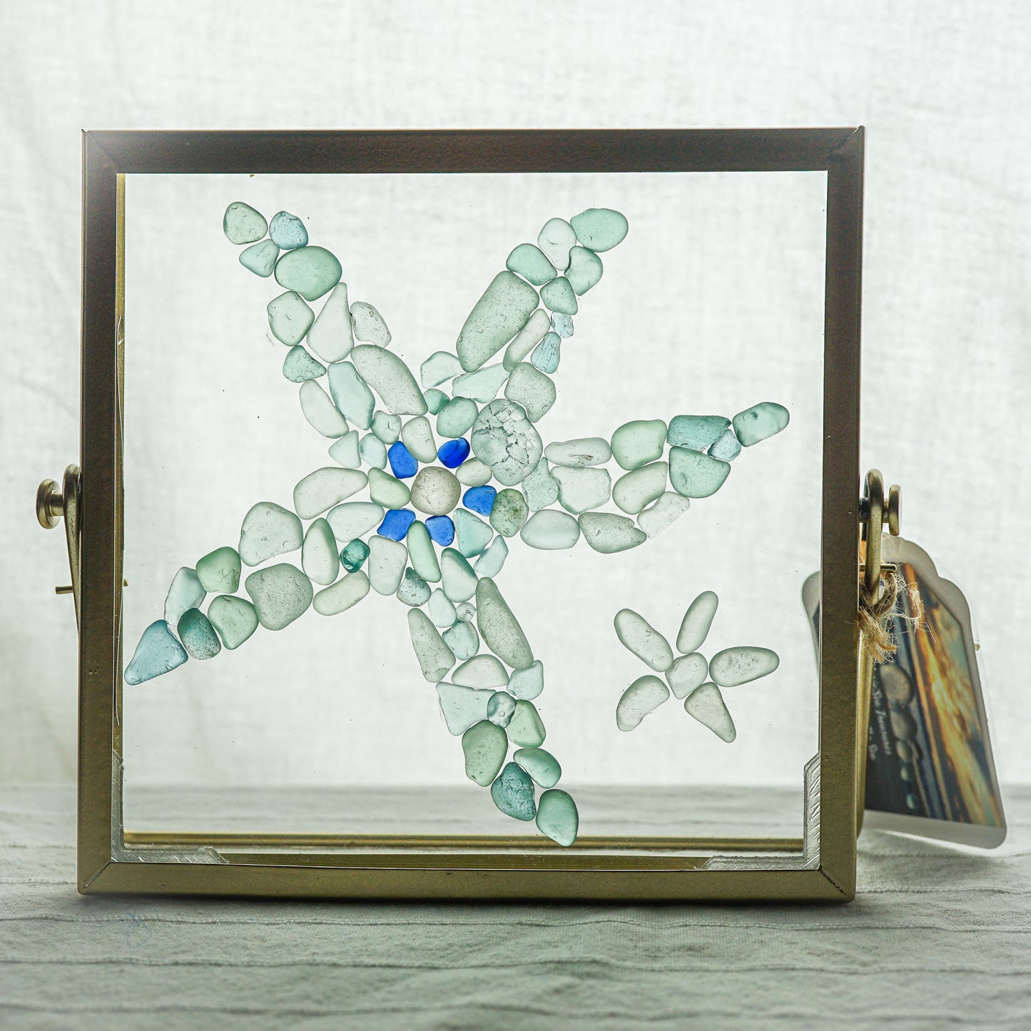 "Whimsical Sea Star" Ocean Colored