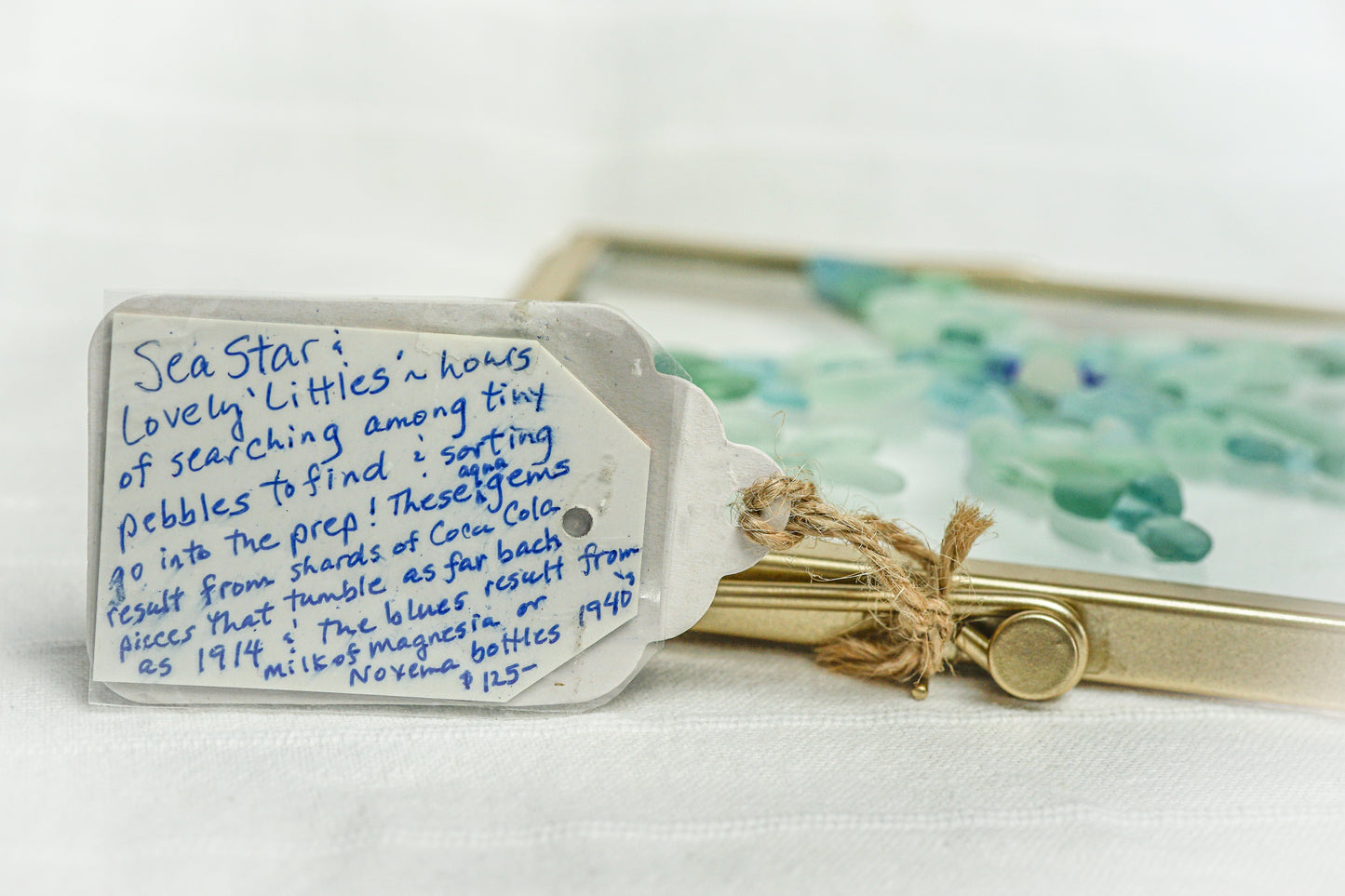 "Whimsical Sea Star" Ocean Colored