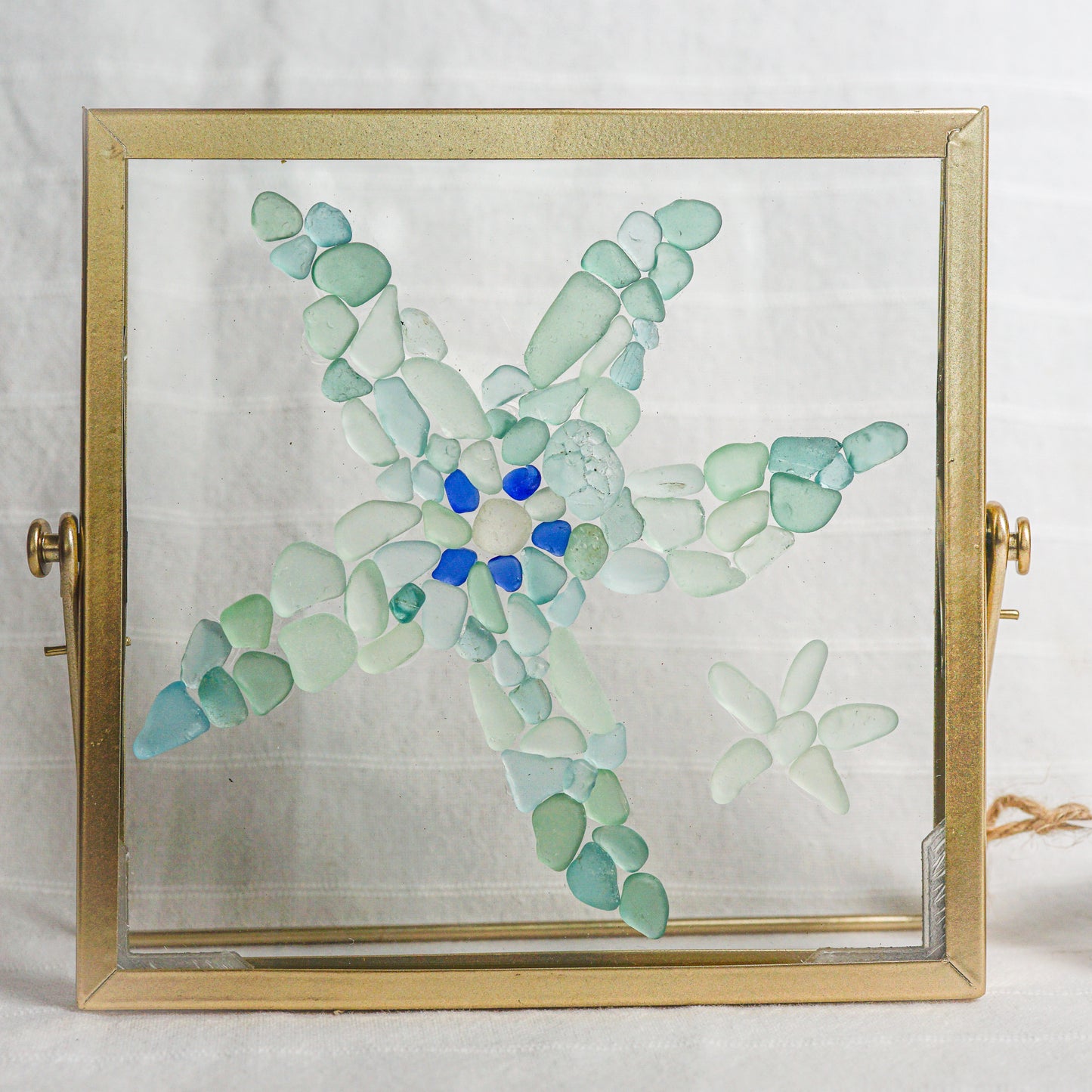 "Whimsical Sea Star" Ocean Colored