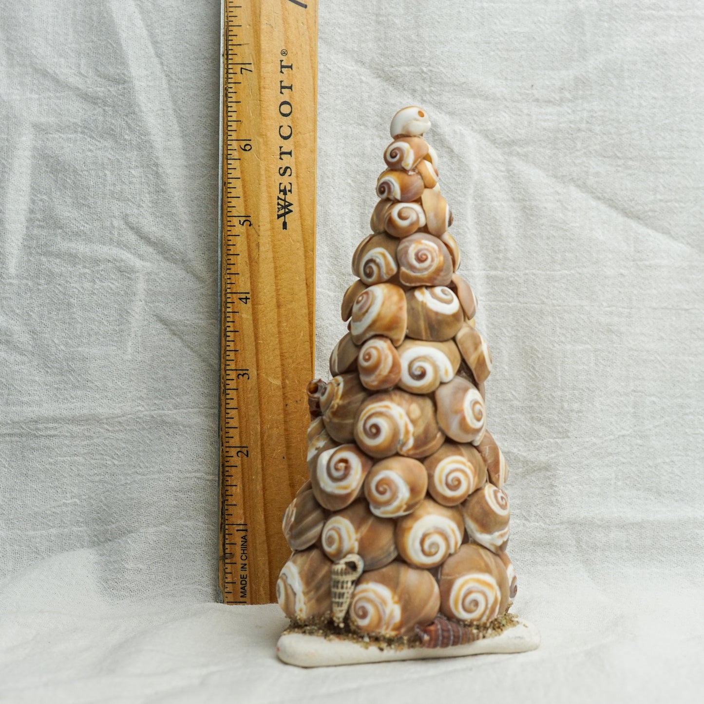 Sea Snail Tree