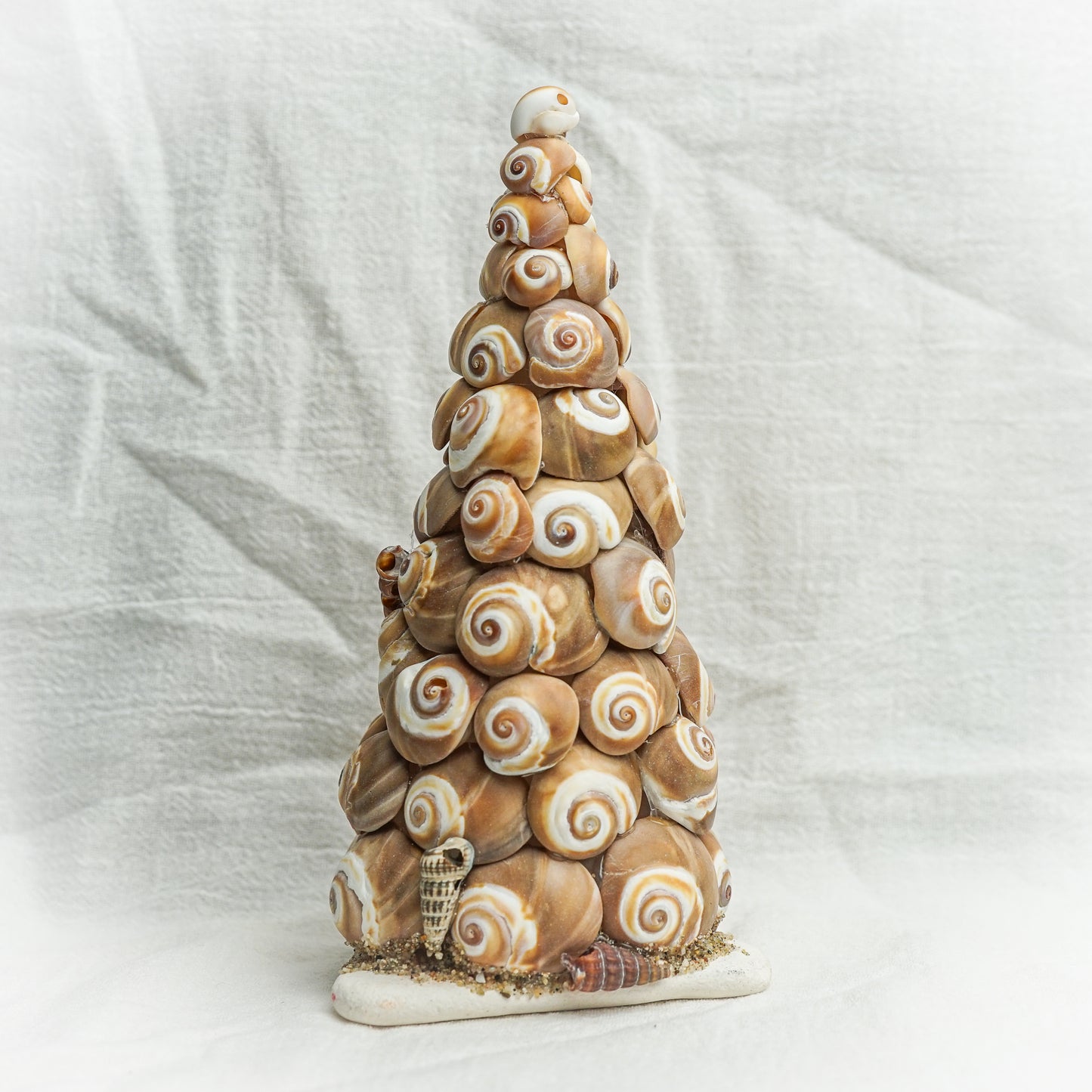 Sea Snail Tree