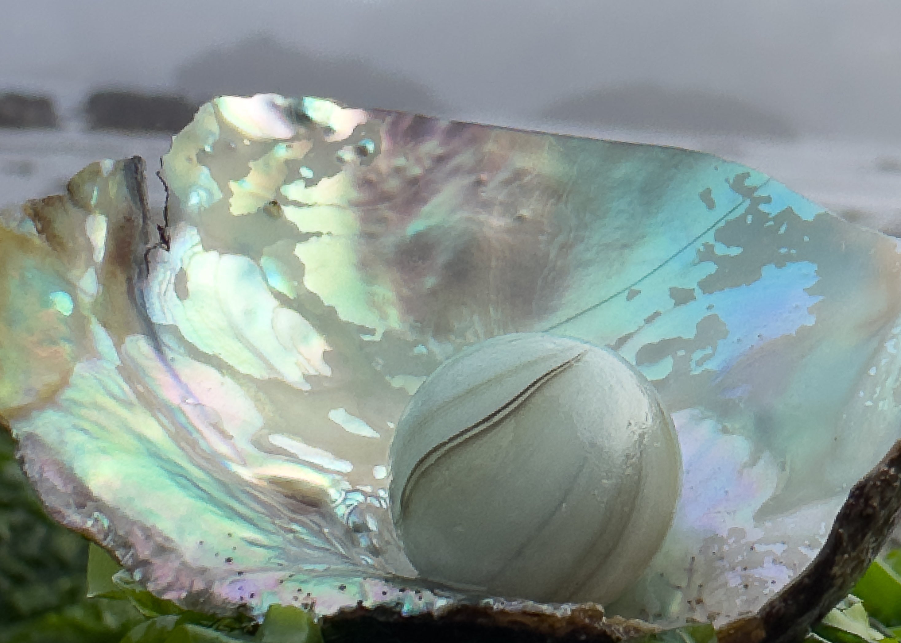 2026 Sea Glass Calendar: Desktop format that can be sent as a